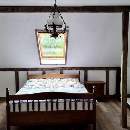 Premyslovsky Dvur Apartment Slezske Pavlovice Екстериор снимка