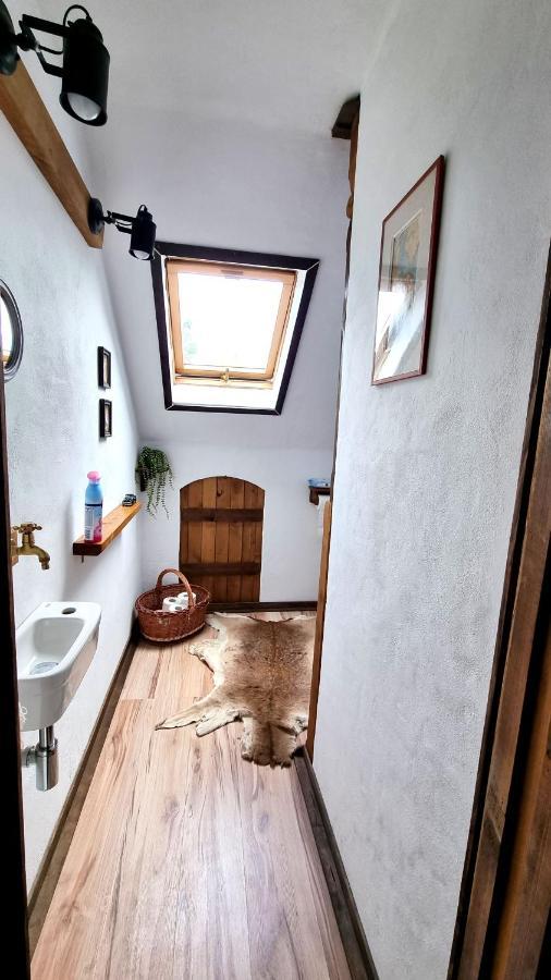 Premyslovsky Dvur Apartment Slezske Pavlovice Екстериор снимка